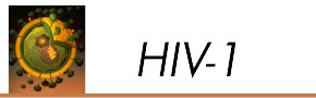 HIV-1